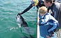In Sea Aquarium: Swim With The Tuna!