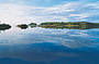 Noosa River and Everglades Afternoon Tea Cruise 4 hours