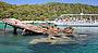Marine Discovery Cruise