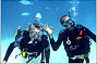 Have Fun Diving (optional)