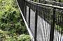 A cantilever walkway extends over the forest