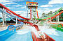 Wet'nWild Transfers (no entry) from Brisbane (B24T)
