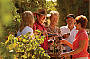 Wine Tasting