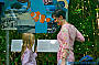Visit the Interpretive Centre
