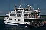 3 Day/ 2 Night  Snorkeling Trip - MV Kangaroo Explorer