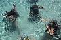 Open Water Dive Course - 4 Day