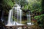 Tasmania's Famous Five Day Tour