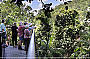 Rainforest Skywalk