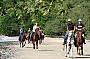 Cape Trib Horse Rides (Afternoon)